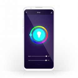 Wi-Fi smart LED-lampen - Full-Colour en Warm-Wit - E27 - 2-Pack