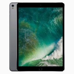iPad Pro 10.5 inch (2017) 64GB Space Grey Wifi + 4G - B-grade