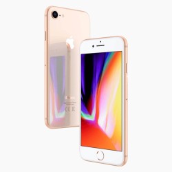 iPhone 8 256GB Gold - No Touch ID