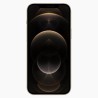 iPhone 12 Pro 256GB Gold - No Face ID