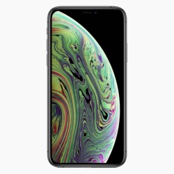 iPhone XS Max 256GB Space...