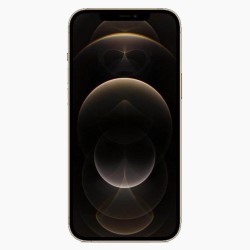 iPhone 12 Pro Max 128GB Gold - No Face ID