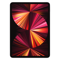 iPad Pro 11 inch (2021) 256GB Black Wifi + 5G - B-grade