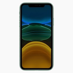 iPhone 11 128GB Green - No Face ID