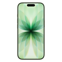 iPhone 17 256GB Green (eSIM) - C grade