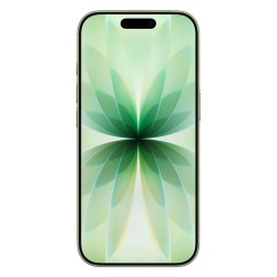 iPhone 17 256GB Green - C grade
